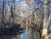 Winter Creek.JPG (95088 bytes)