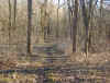 Winter Trail 1.JPG (100187 bytes)