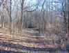 Winter Trail 2.JPG (103025 bytes)